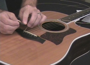 bridge pin of acoustic guitar