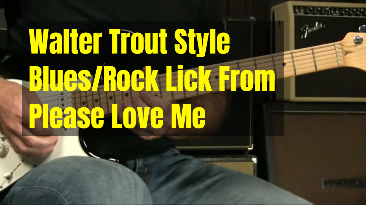 Walter Trout Lick From Please Love Me