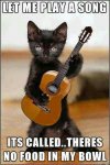 black-cat-guitar.jpg