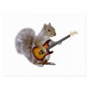 squirrel_guitar_postcard-rde724e4b72514a4d8f63ff6b398d4171_vgbaq_8byvr_307 (1).jpg