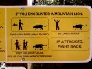 Funny-Signs-Lion-18.jpg