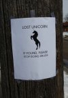 lost-unicorn.jpg