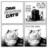 drug sniffing cats.jpg