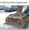 found the square root.jpg