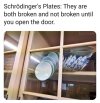 schroedingers plates.jpg