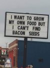 cant find bacon seeds.jpg