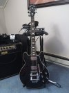 339 with bigsby b5 16sep2018 001.jpg