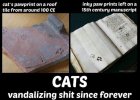 cats_vandalizing_shit_since_forever.jpg