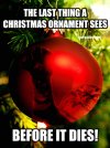 last thing ornament sees.jpg