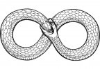 snake-curled-in-infinity-ring-ouroboros-devouring-vector-6109301.jpg